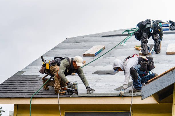Professional Roof Inspection technician working in Dudley, MA